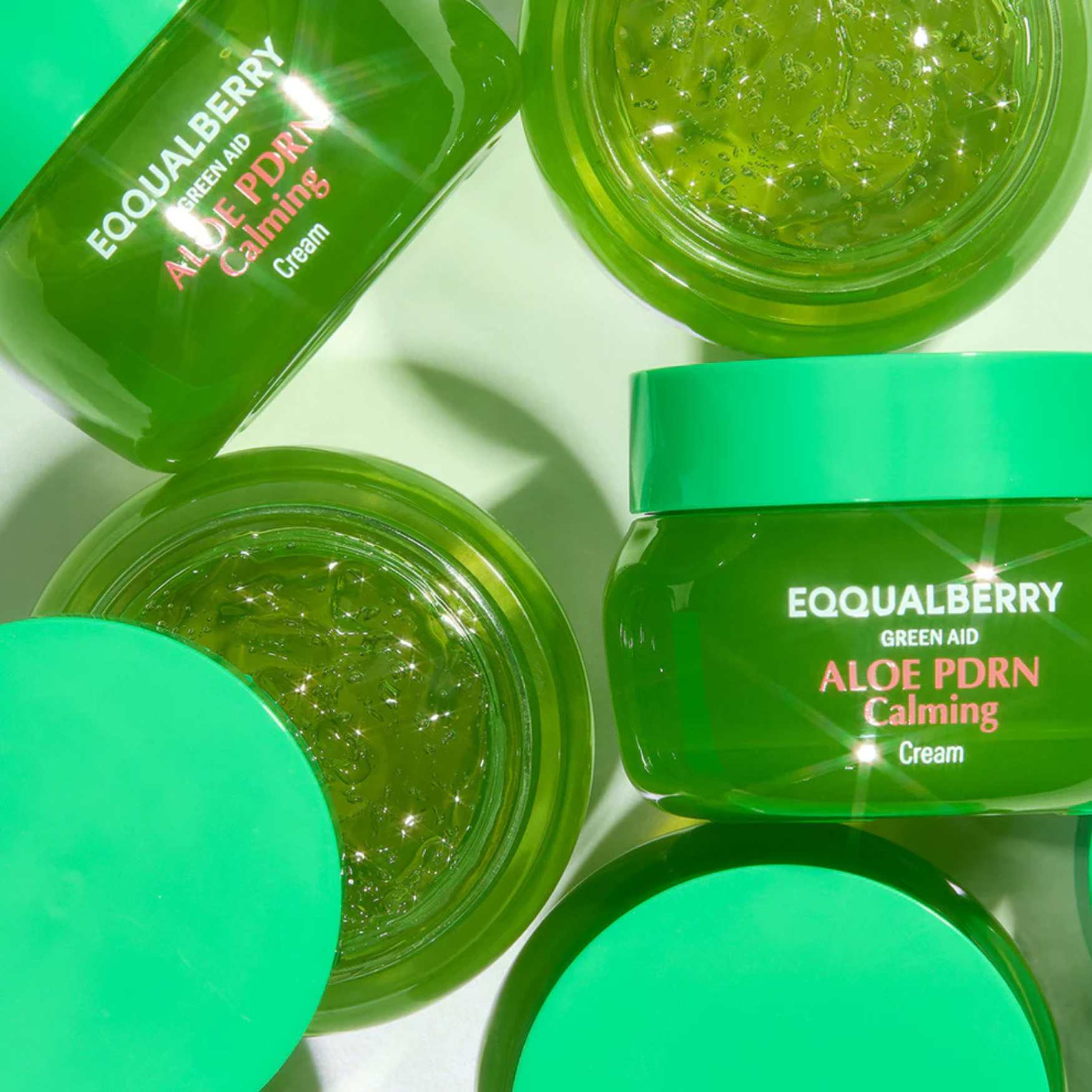Aloe PDRN Calming Cream 50 ML-EQQUALBERRY-HBYTALA