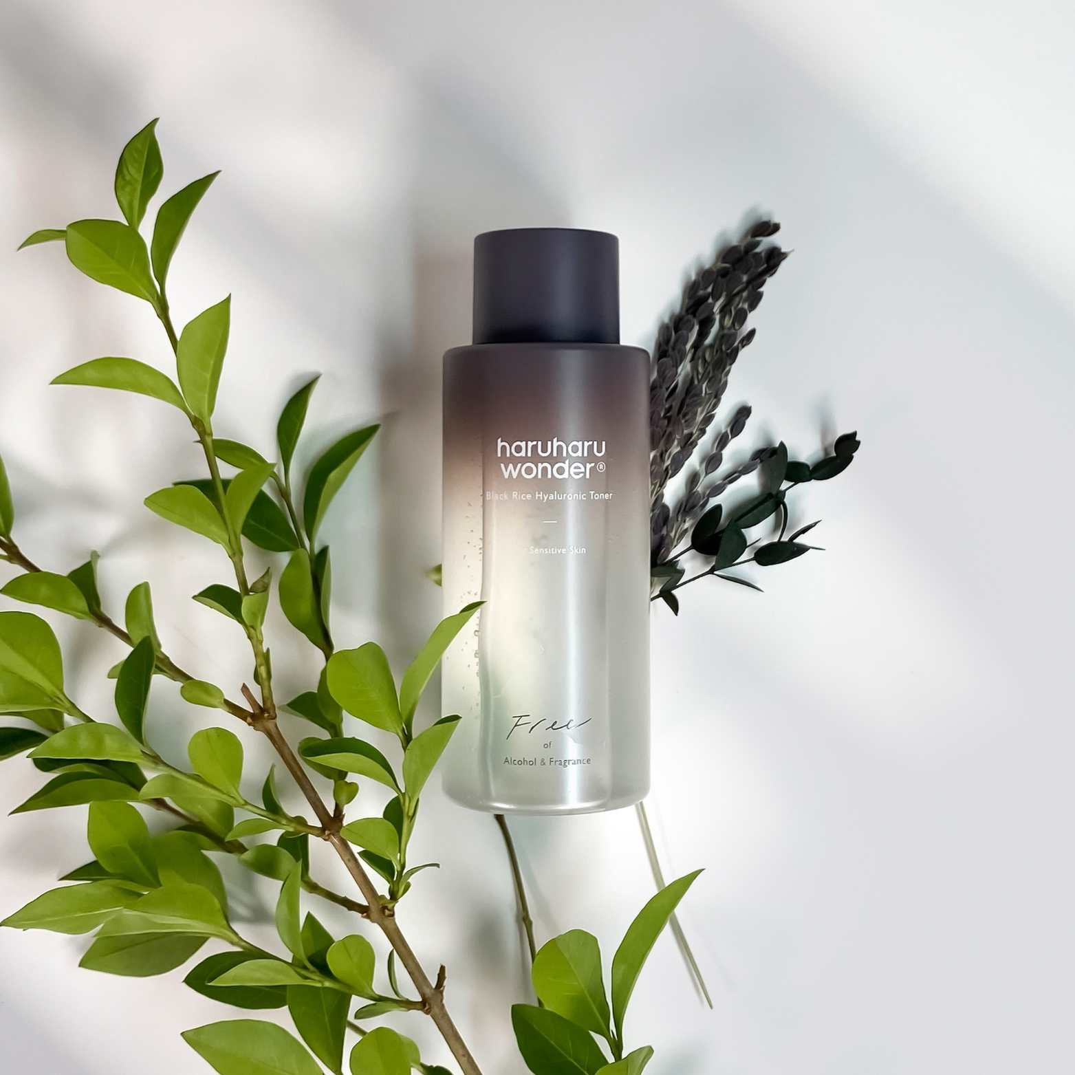 Black Rice Hyaluronic Toner for Sensitive Skin - Free of Alcohol Fragrance-HARUHARU WONDER-HBYTALA