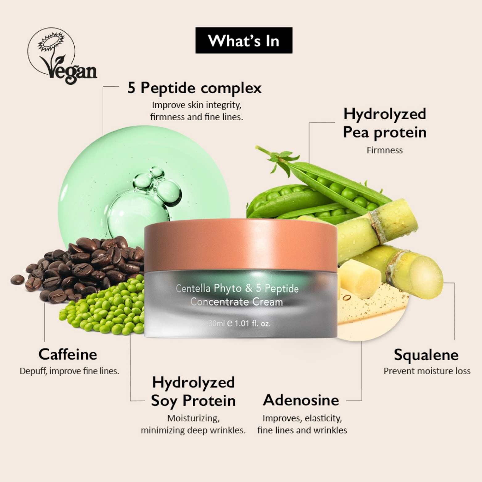 Centella Phyto & 5 Peptide Concentrate Cream-HARUHARU WONDER-HBYTALA