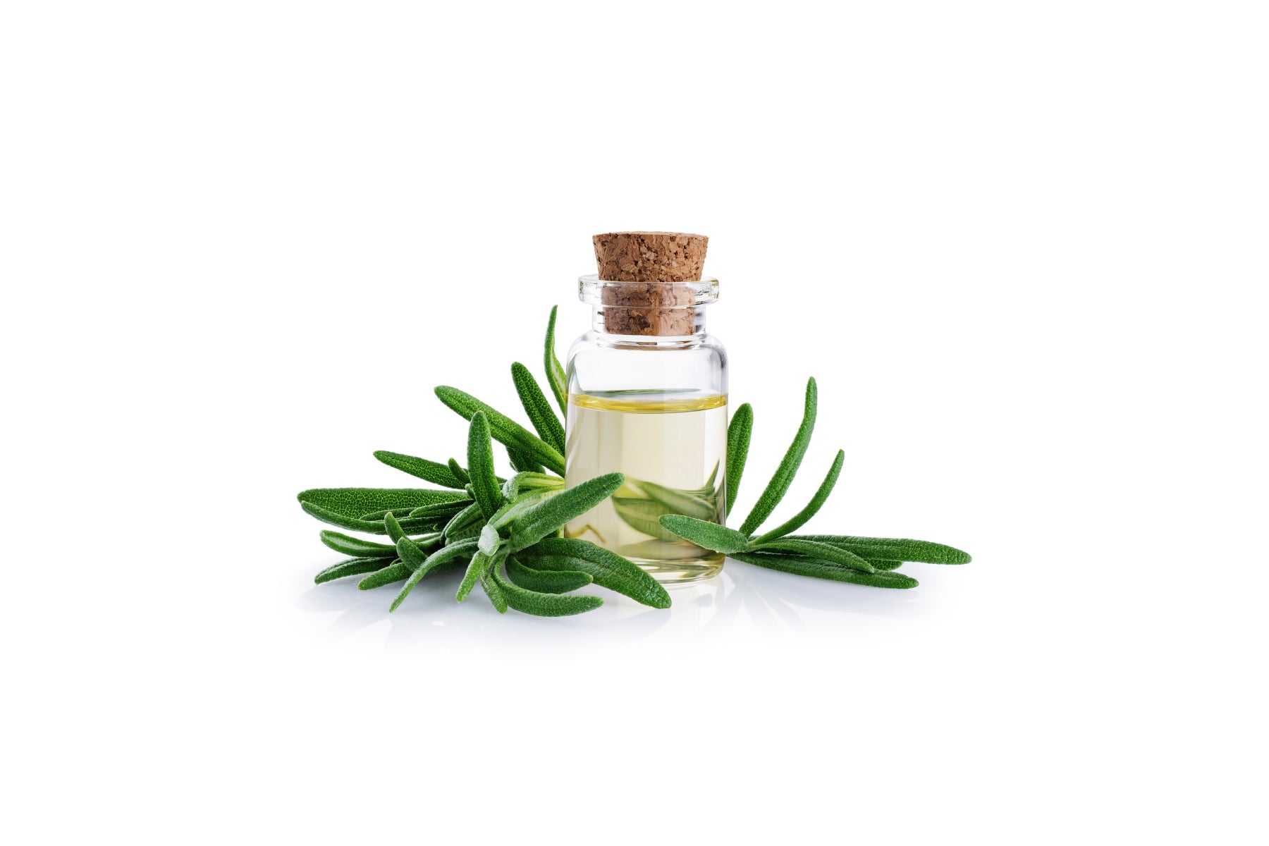 Unlocking the Power of Rosemary Essential Oil