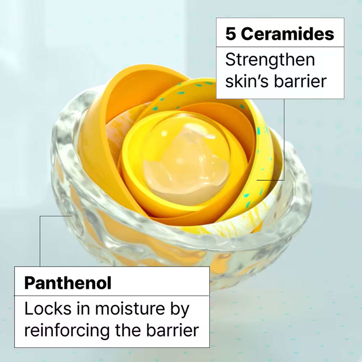 Ceramidin Skin Barrier Moisturizing Cream(50ml)-GB-BB-DR.JART+-HBYTALA